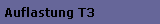 Auflastung T3